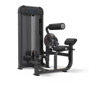 Lp06 | Gymfit Abdominal/ Back Extension | Luxury-Line Plus