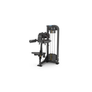 P05 | Gymfit Lateral Raise | Custom Line Plus